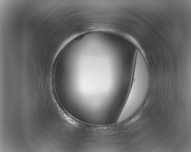 X0000059051149200510070844
