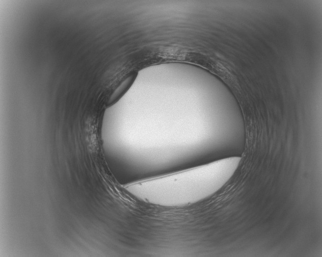 X0000059051154200510070844