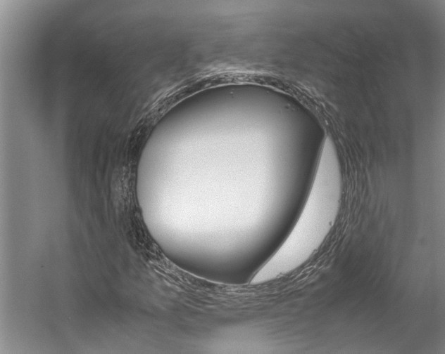 X0000059051157200510070844