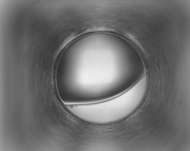 X0000059051173200510070843