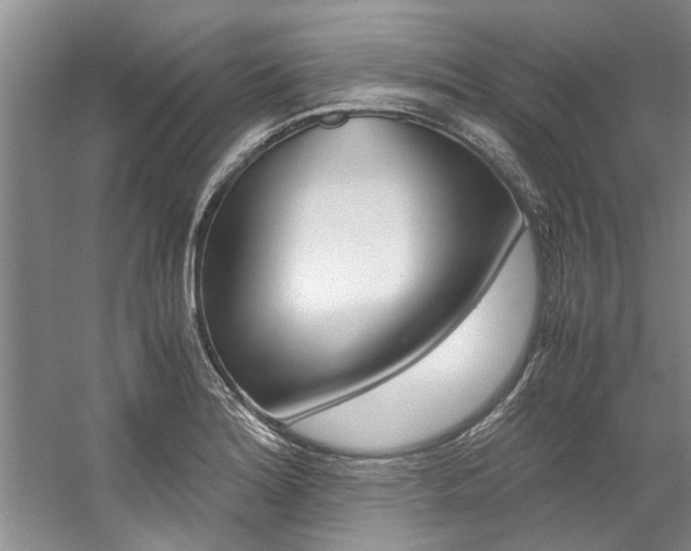 X0000059051180200510070843