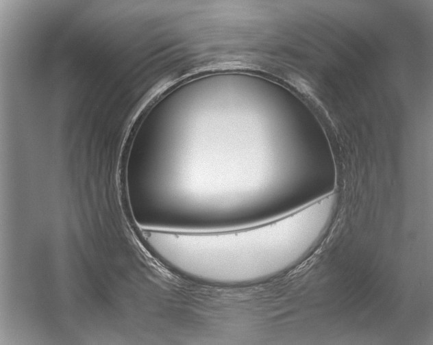 X0000059051181200510070843