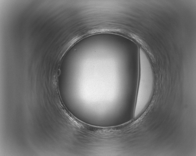 X0000059051185200510070843