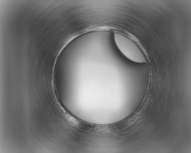 X0000059051194200510070843