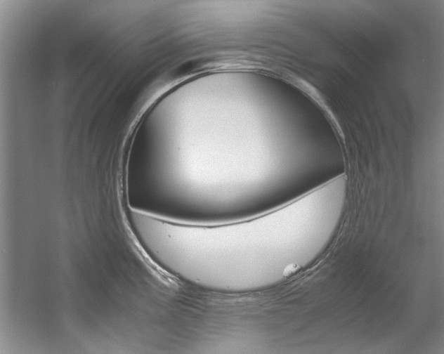 X0000059051195200510070843