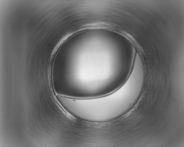 X0000059051196200510070843