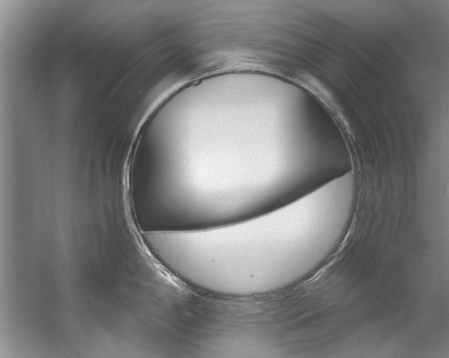 X0000059051198200510070843