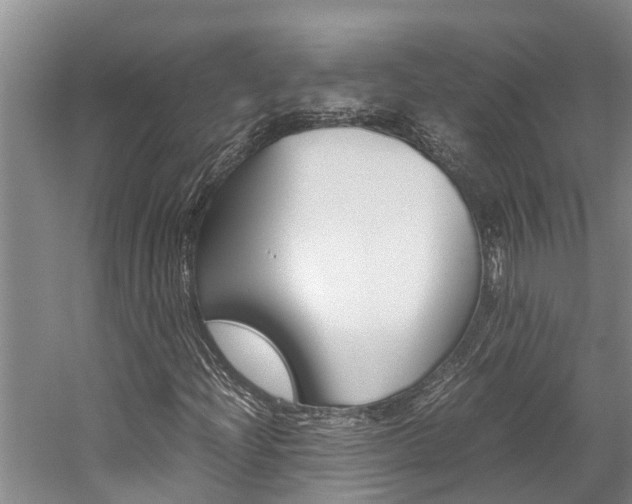 X0000059051204200510070842