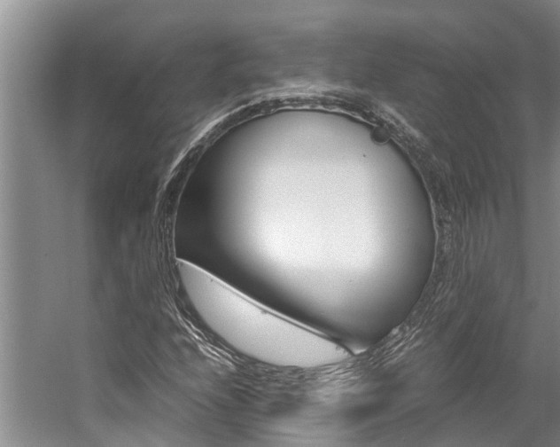 X0000059051208200510070842