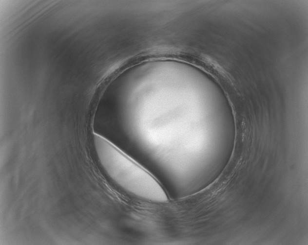 X0000059051213200510070842