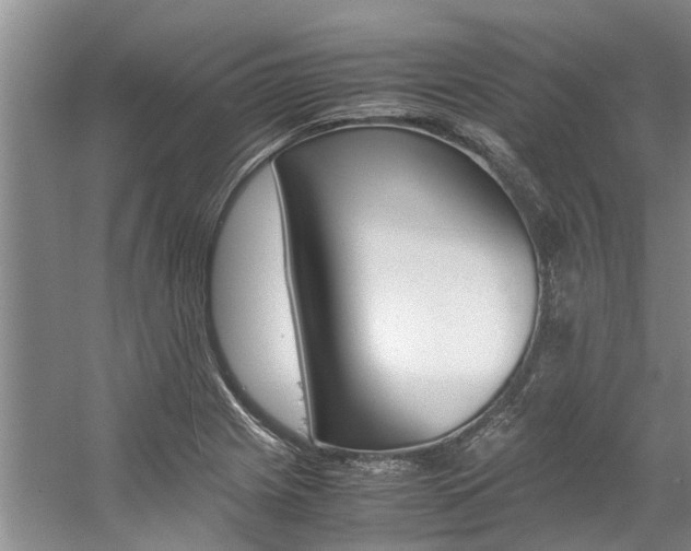 X0000059051225200510070842