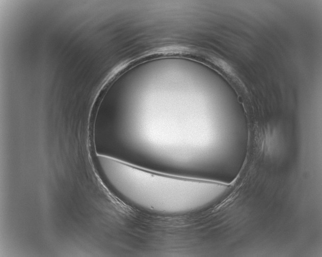 X0000059051229200510070842