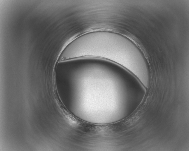 X0000059051242200510070843