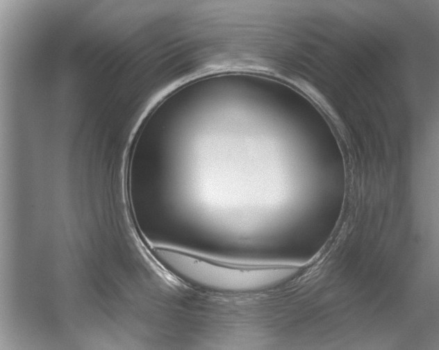 X0000059051246200510070843