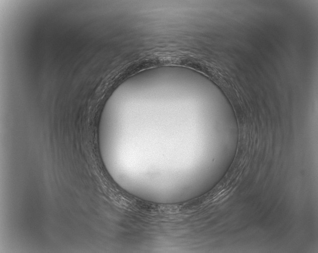 X0000059051249200510070842