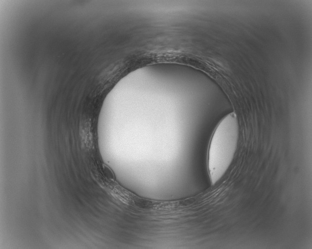 X0000059051252200510070842