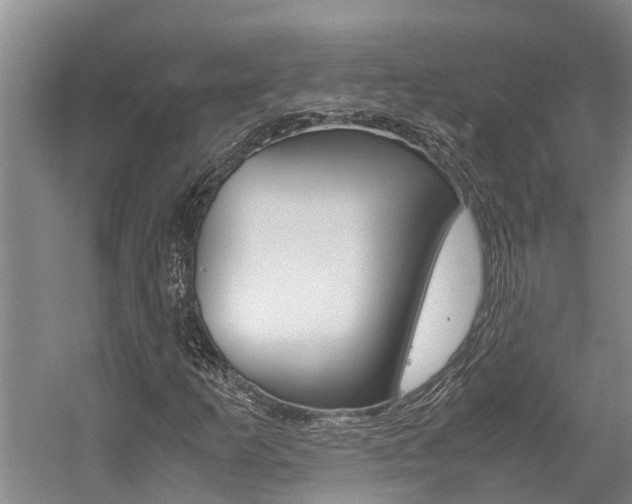 X0000059051253200510070842
