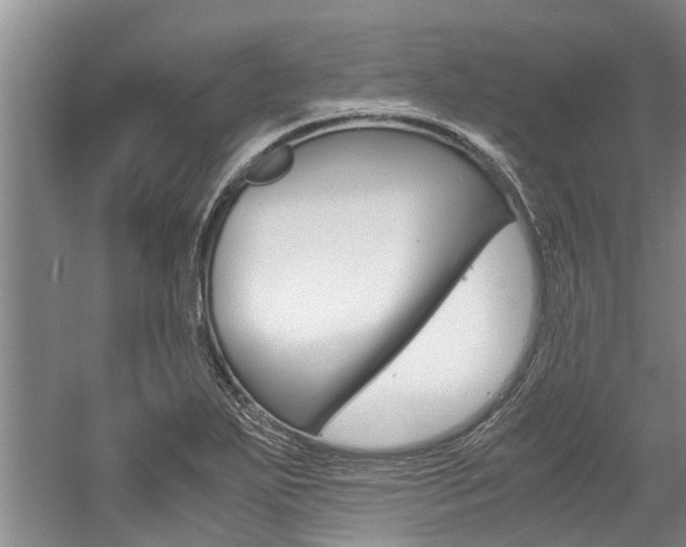 X0000059051271200510070842