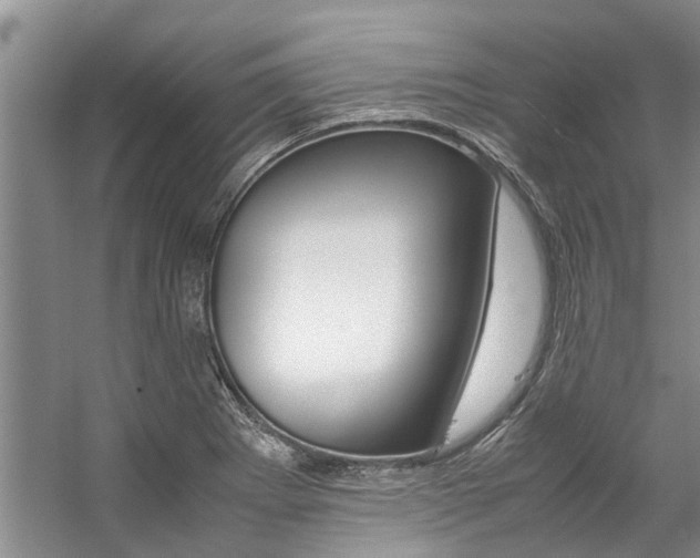 X0000059051273200510070842