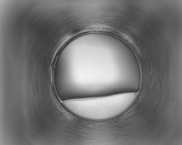X0000059051275200510070842