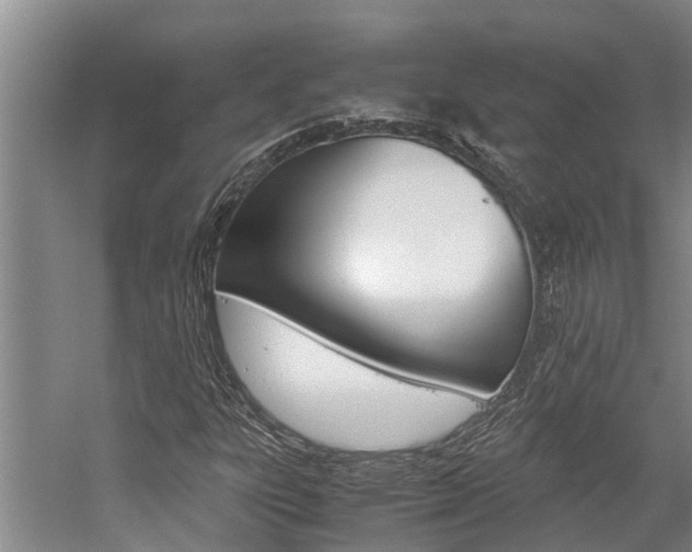 X0000059051303200510070841