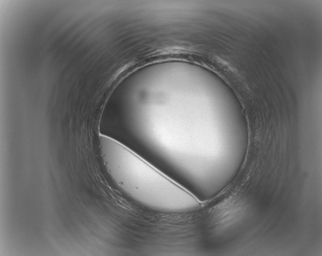 X0000059051313200510070841