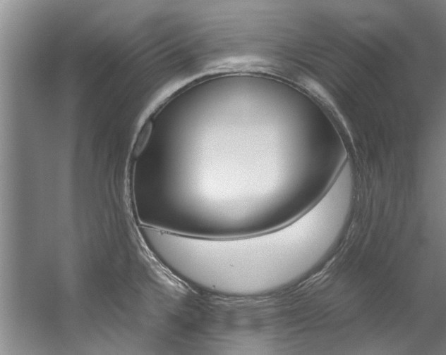 X0000059051336200510070841