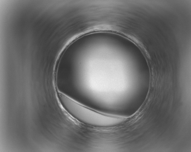 X0000059051342200510070841