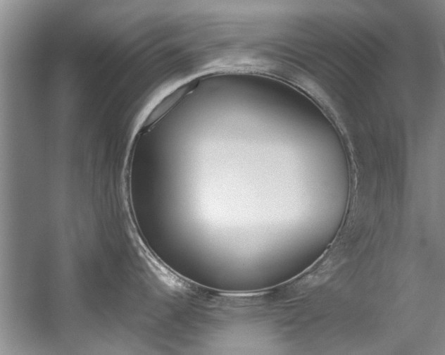 X0000059051344200510070841