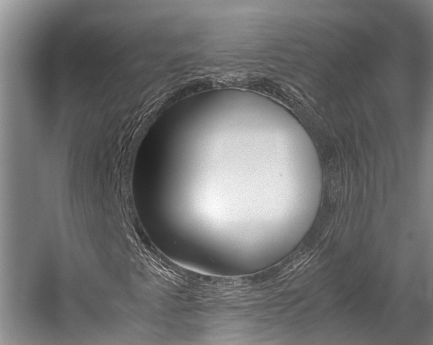 X0000059051345200510070840