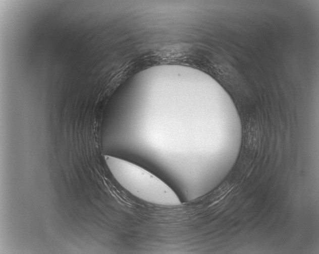 X0000059051346200510070840