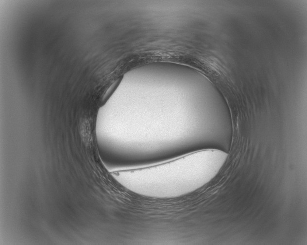 X0000059051347200510070840