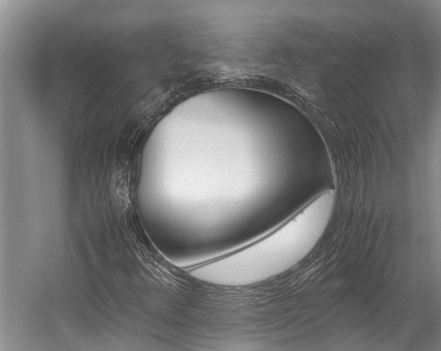 X0000059051348200510070840