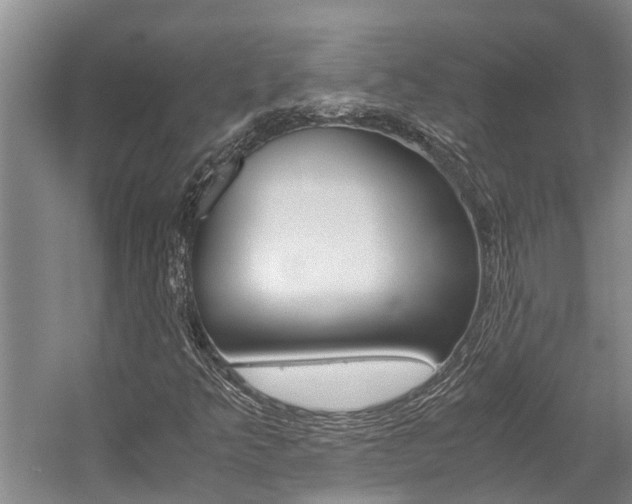 X0000059051349200510070840