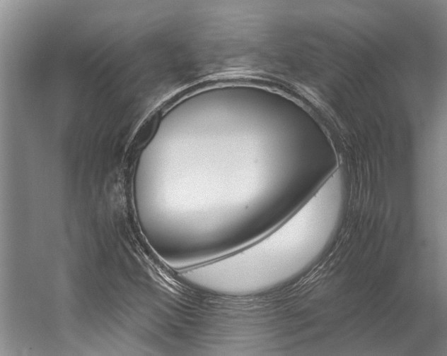 X0000059051356200510070840