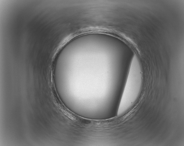X0000059051365200510070840