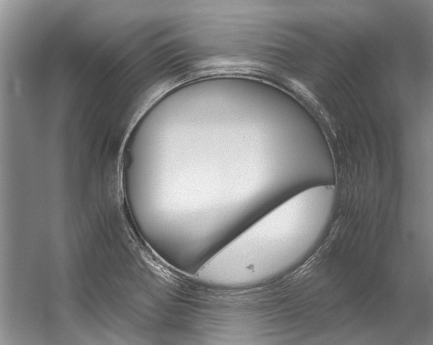 X0000059051370200510070840