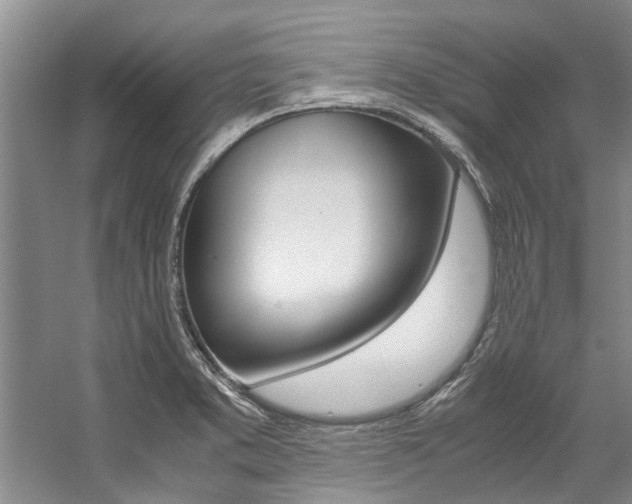 X0000059051373200510070840