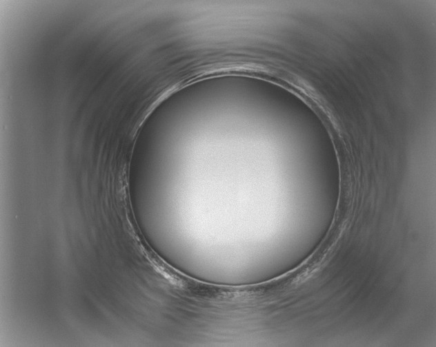 X0000059051377200510070840