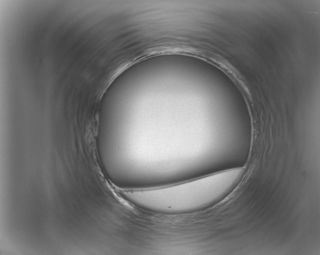 X0000059051385200510070840