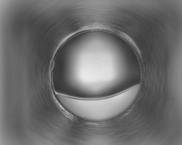 X0000059051388200510070840