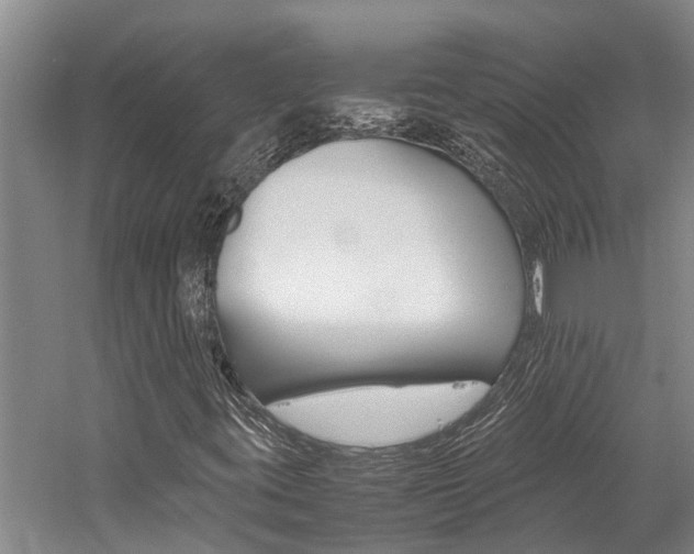 X0000059051395200510070839