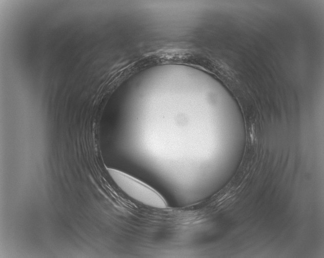 X0000059051396200510070839