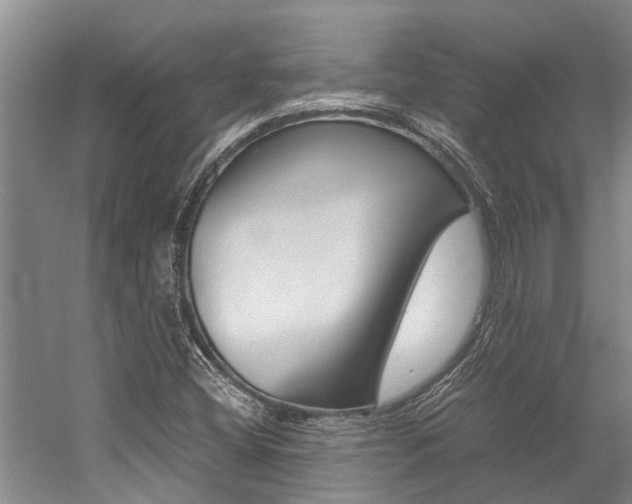 X0000059051404200510070839