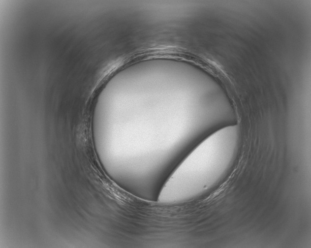 X0000059051405200510070839