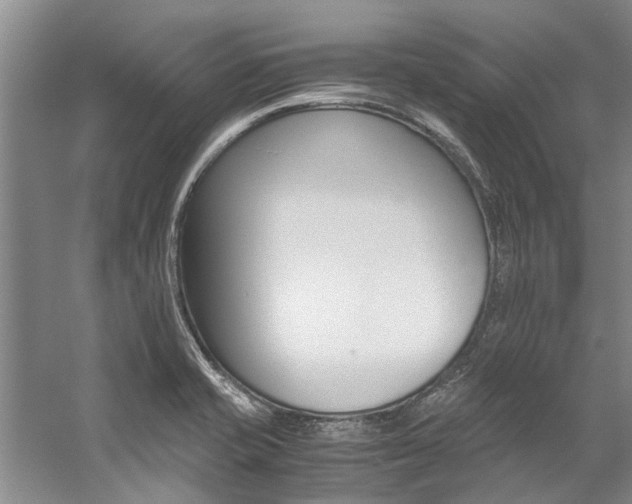 X0000059051421200510070839