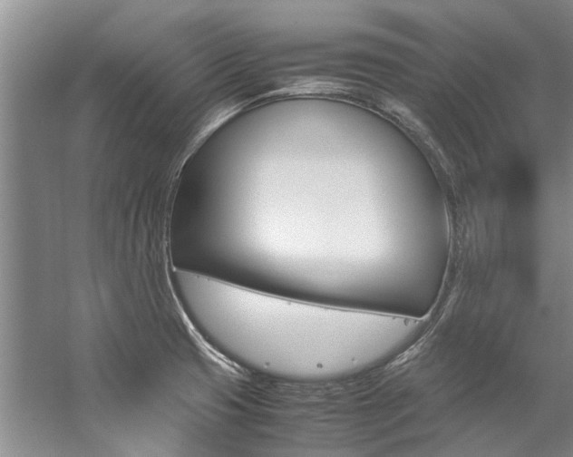 X0000059051425200510070839