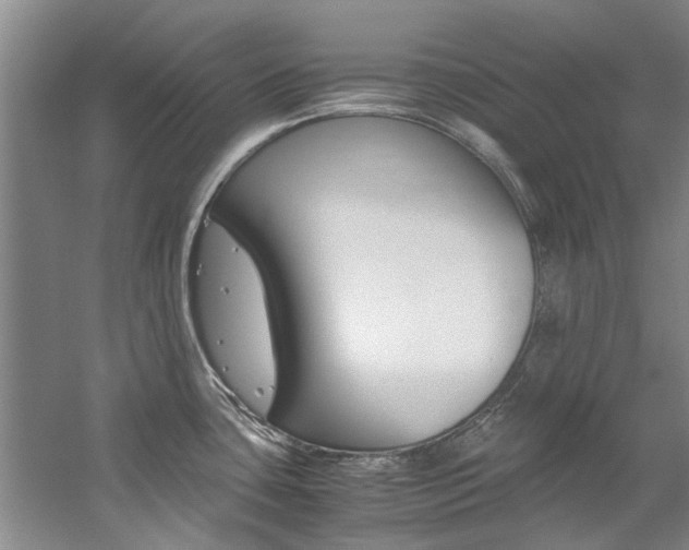 X0000059051435200510070839