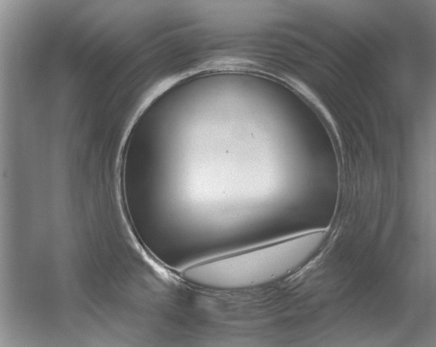 X0000059051437200510070840