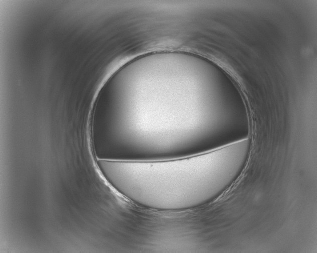 X0000059051440200510070840